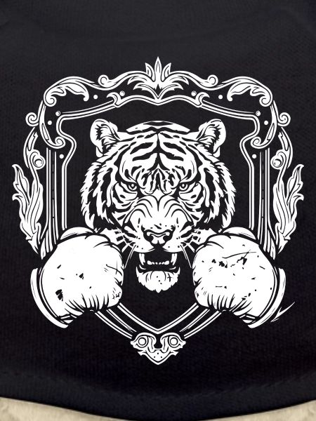Tiger Boxing MMA