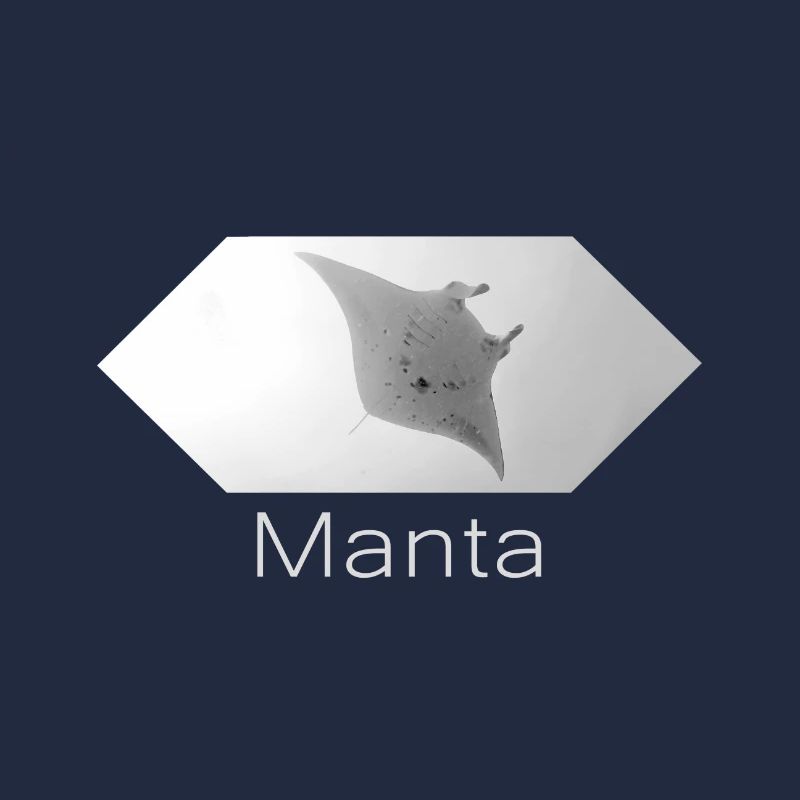 Manta Rochen diving