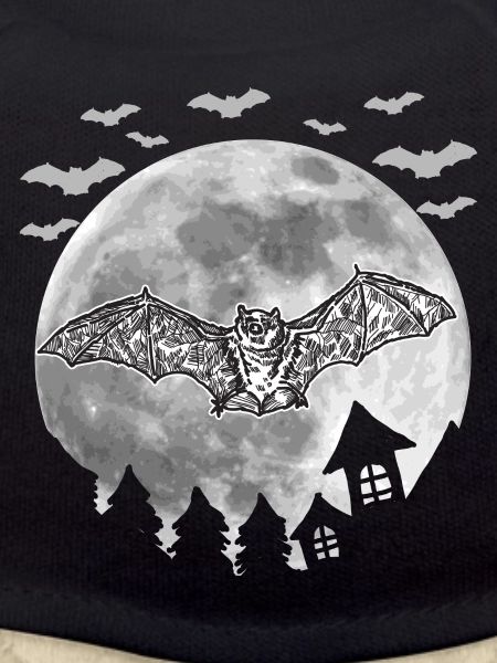 bat