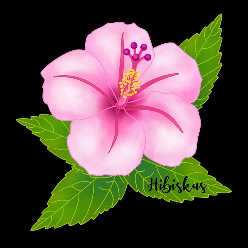 Hibiscus