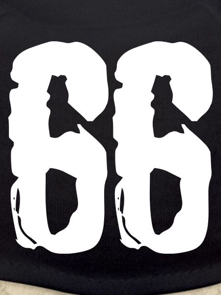 66 number jersey