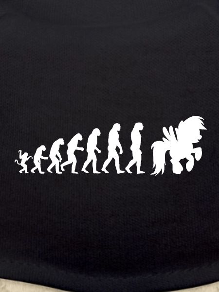 Cheval évolution