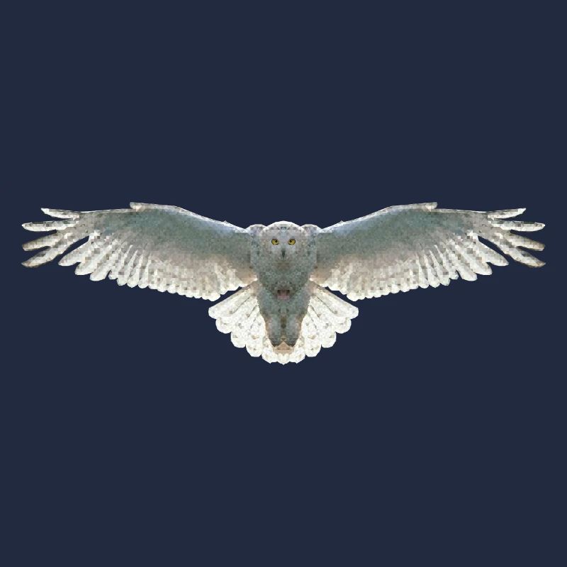 Schneeeule Eule Polygon Vogel Tier Wildtier Uhu