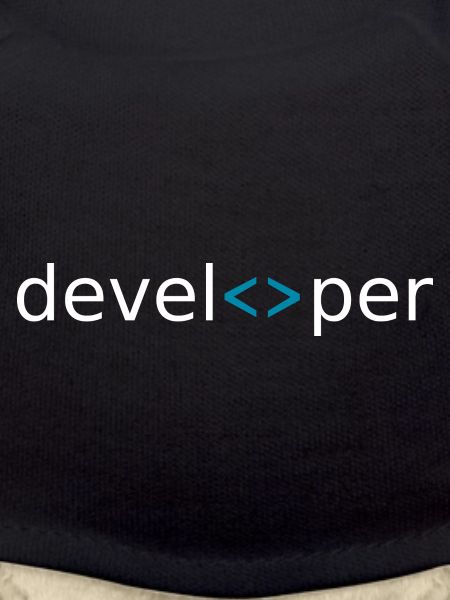 developer