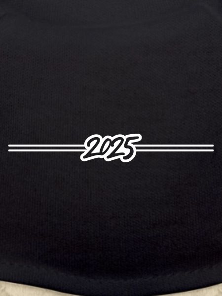 2025 year