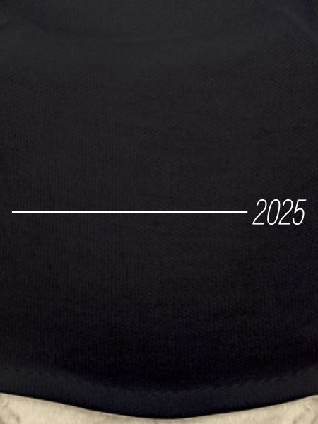 2025 Année AVC