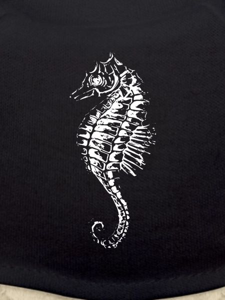 Seahorse