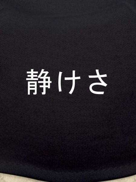 Serenity Kanji