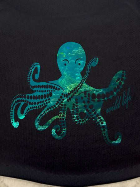 Octopus wildlife