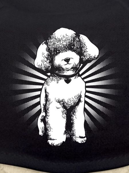 Poodle