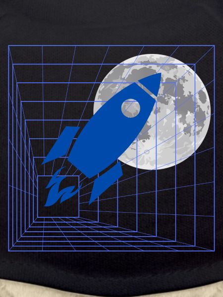 Rocket to the moon