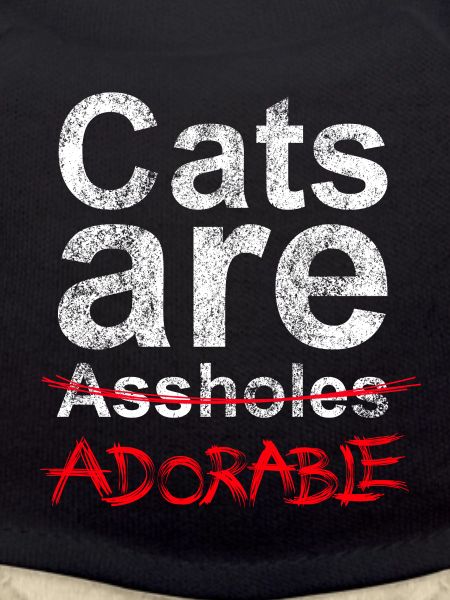 Cats are….