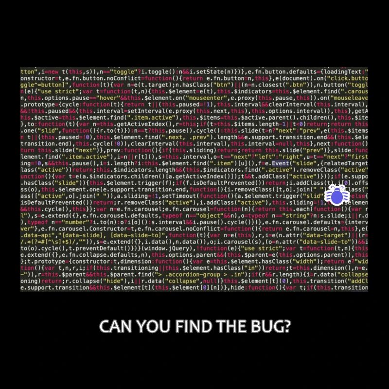 Programmeur, codeur, bugs, débogage