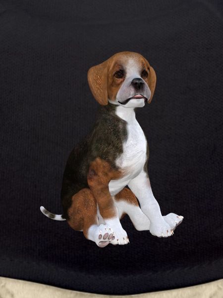 Beagle Welpe