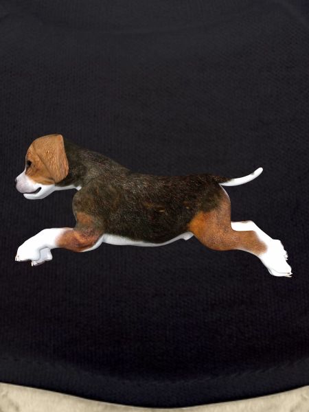 Chiot Beagle
