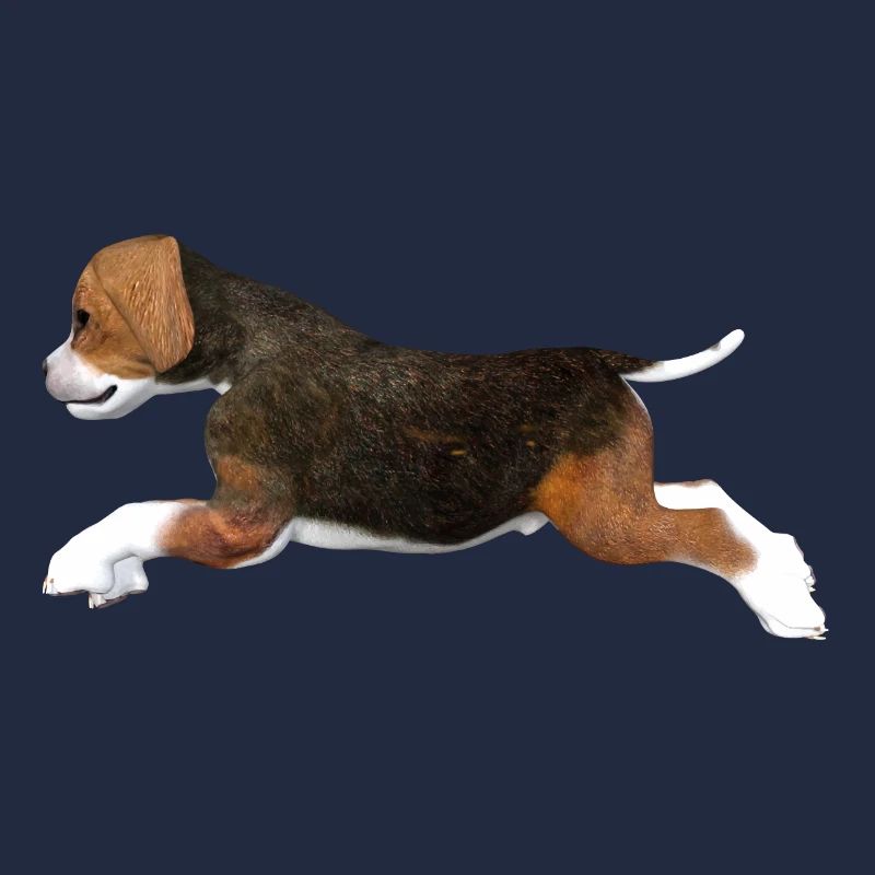 Beagle Welpe