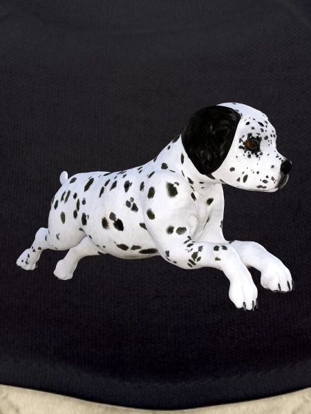 Dog Dalmatian puppy