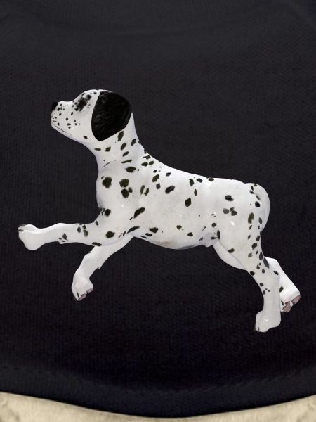 Dog Dalmatian puppy