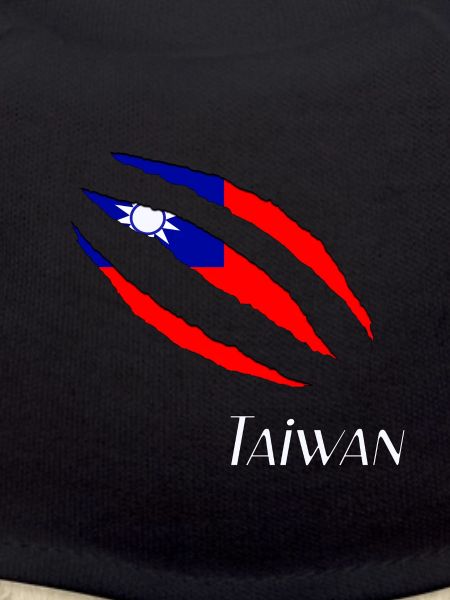 Taiwan Flag
