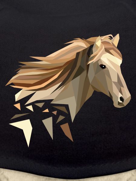 Cheval géométriquement faible