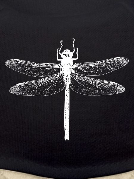 Libelle