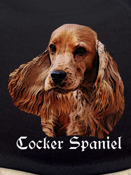 Cocker Spaniel,Spaniel,Dog Head,Pedigree Dog,