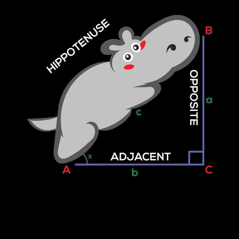 Hippotenuse Funny Math Teacher Gift
