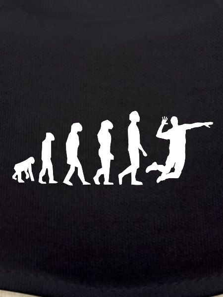 evolution volley