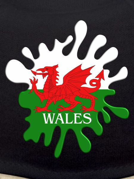 Welsh Flag