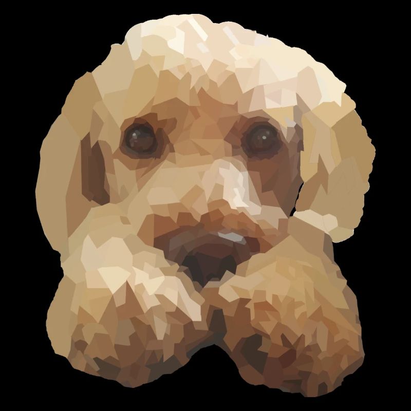 Chien mignon Caniche Labradoodle Goldendoodle