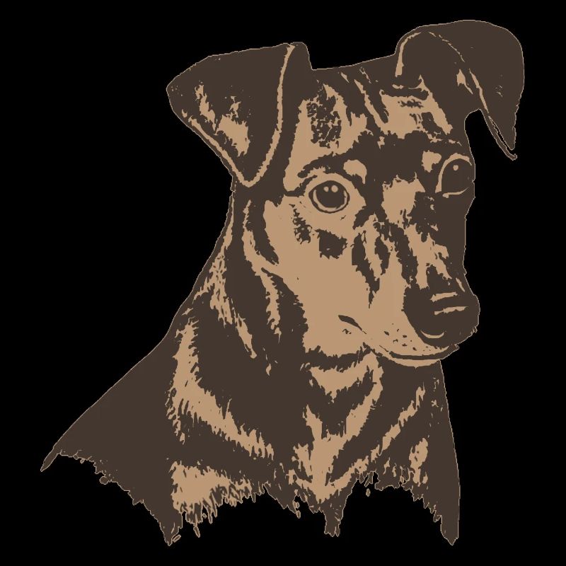 Dog's head