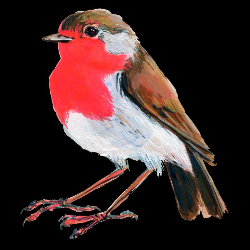 robin