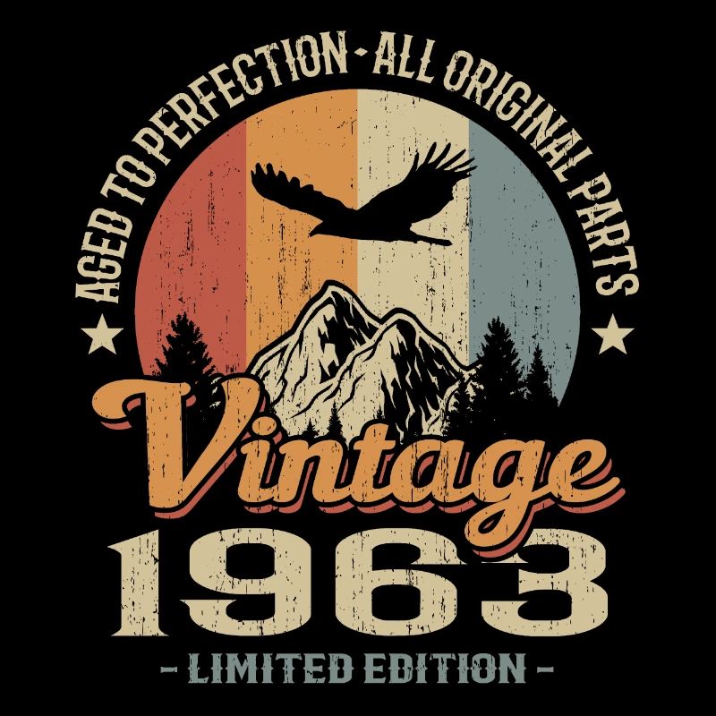 Vintage retro 1963