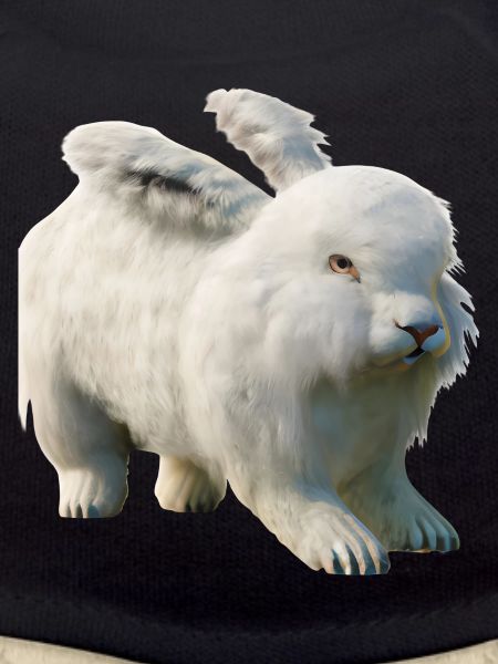 Fluffy Angora rabbit