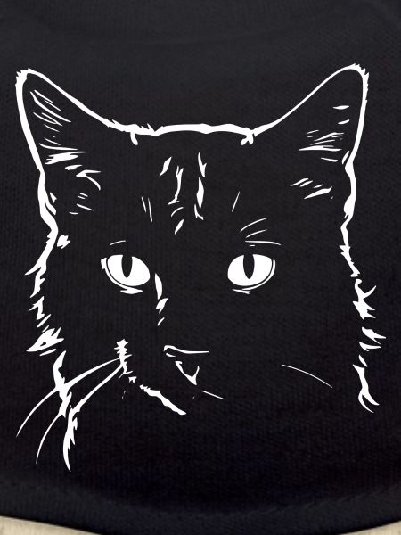 Katze 4