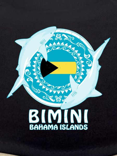Bimini Bull Shark