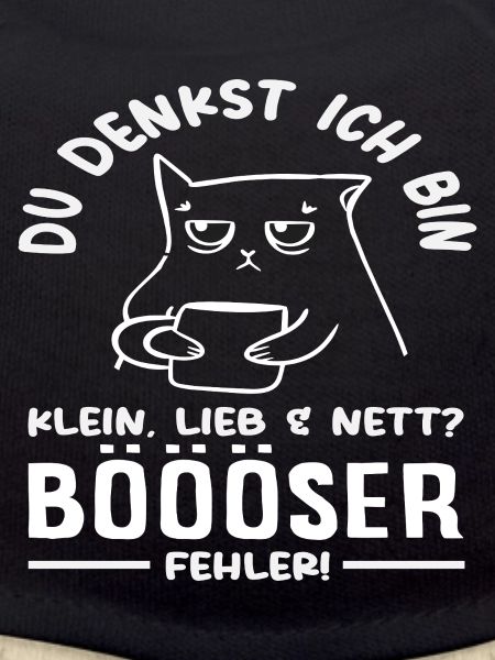 Bad mistake little cat