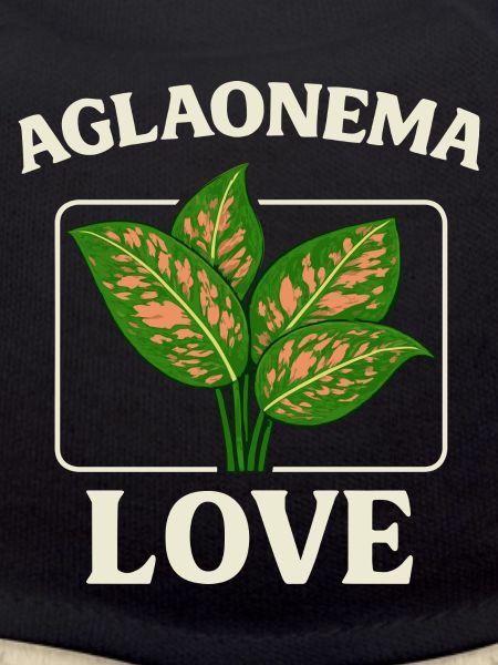 Aglaonema Love