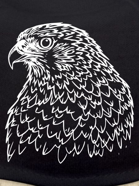 Falcon Head