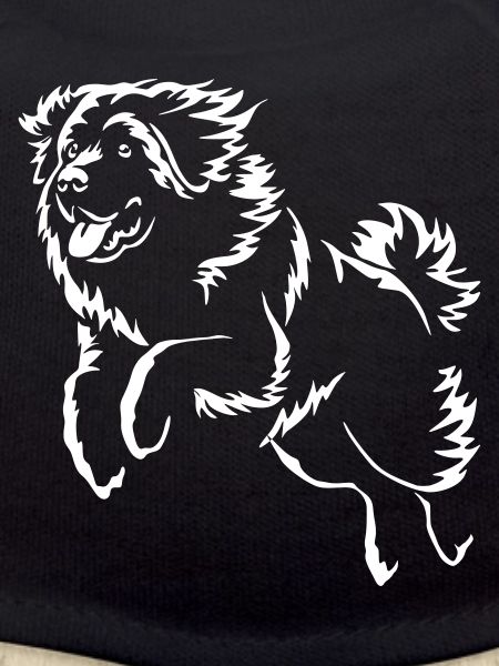 Leonberger « Édition noire »