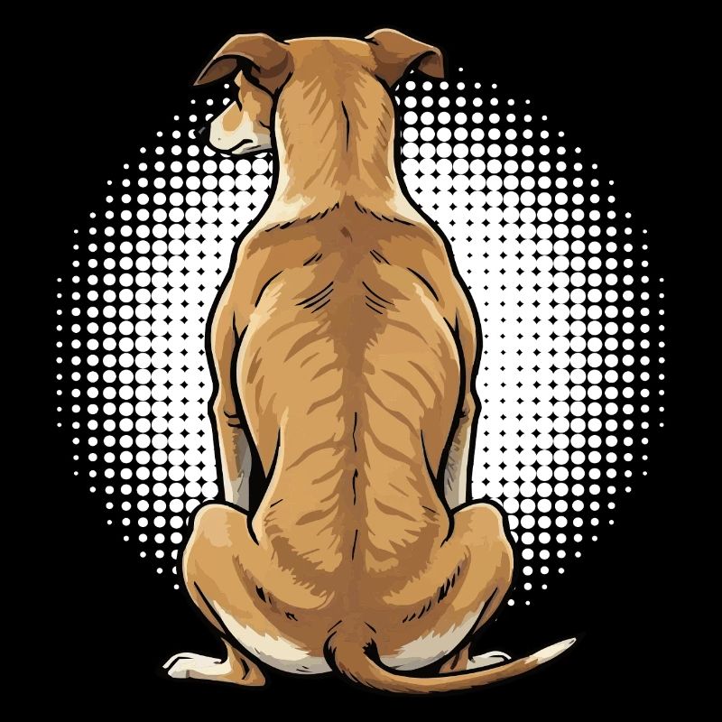 Whippet Greyhound Whippets Greyhound Owner
