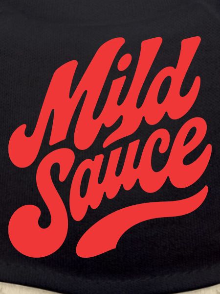 Wild Sauce Retro Script