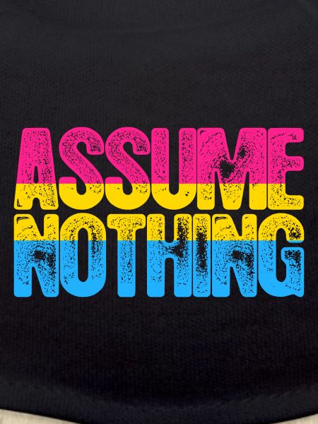 Pansexual Pride Assume Nothing