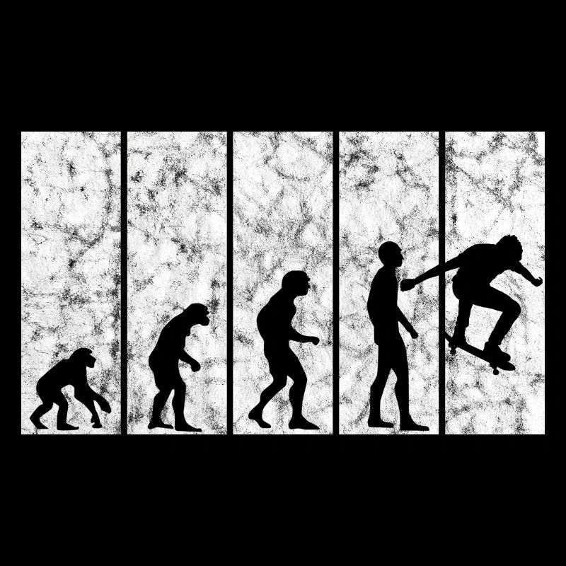 Skateboarder Skateboard Skater Skate Evolution