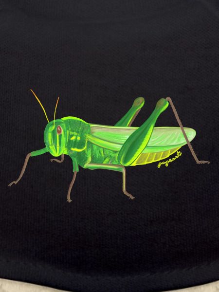 grasshopper