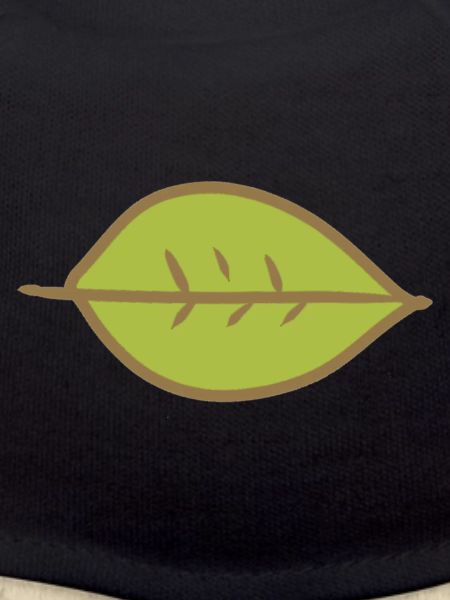 Leaf Green Shape Nature