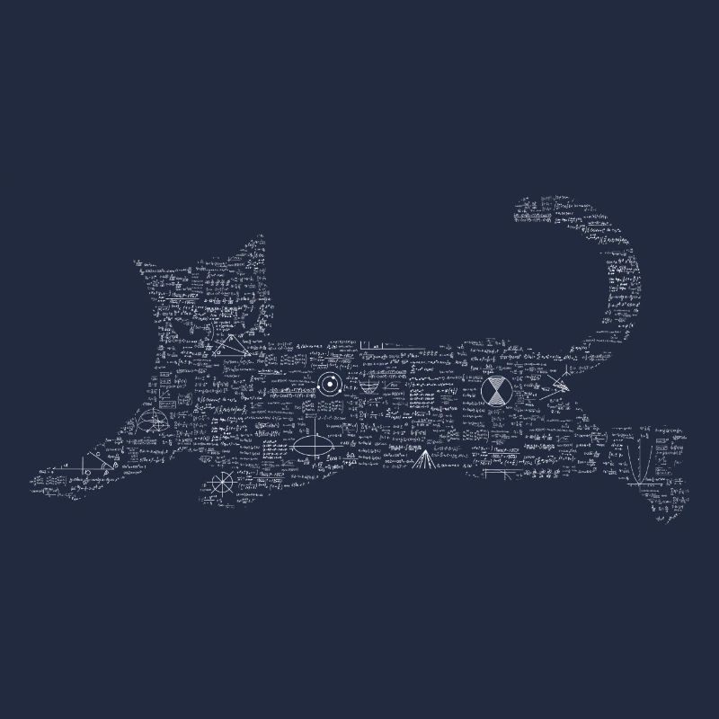 Chat de formule Schrödinger