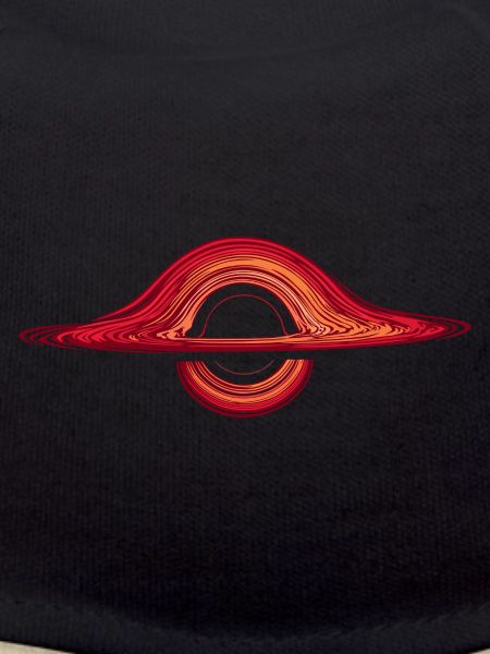Black hole physics