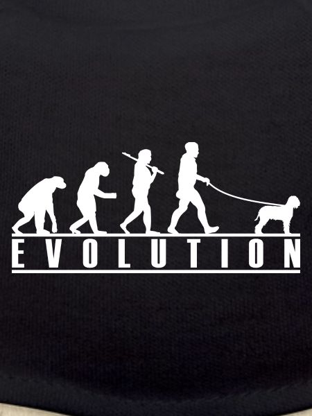 Lagotto Romagnolo Evolution