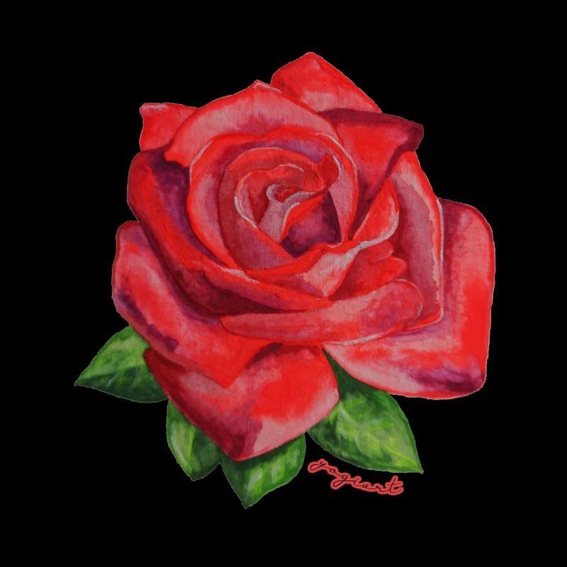 Rose rot